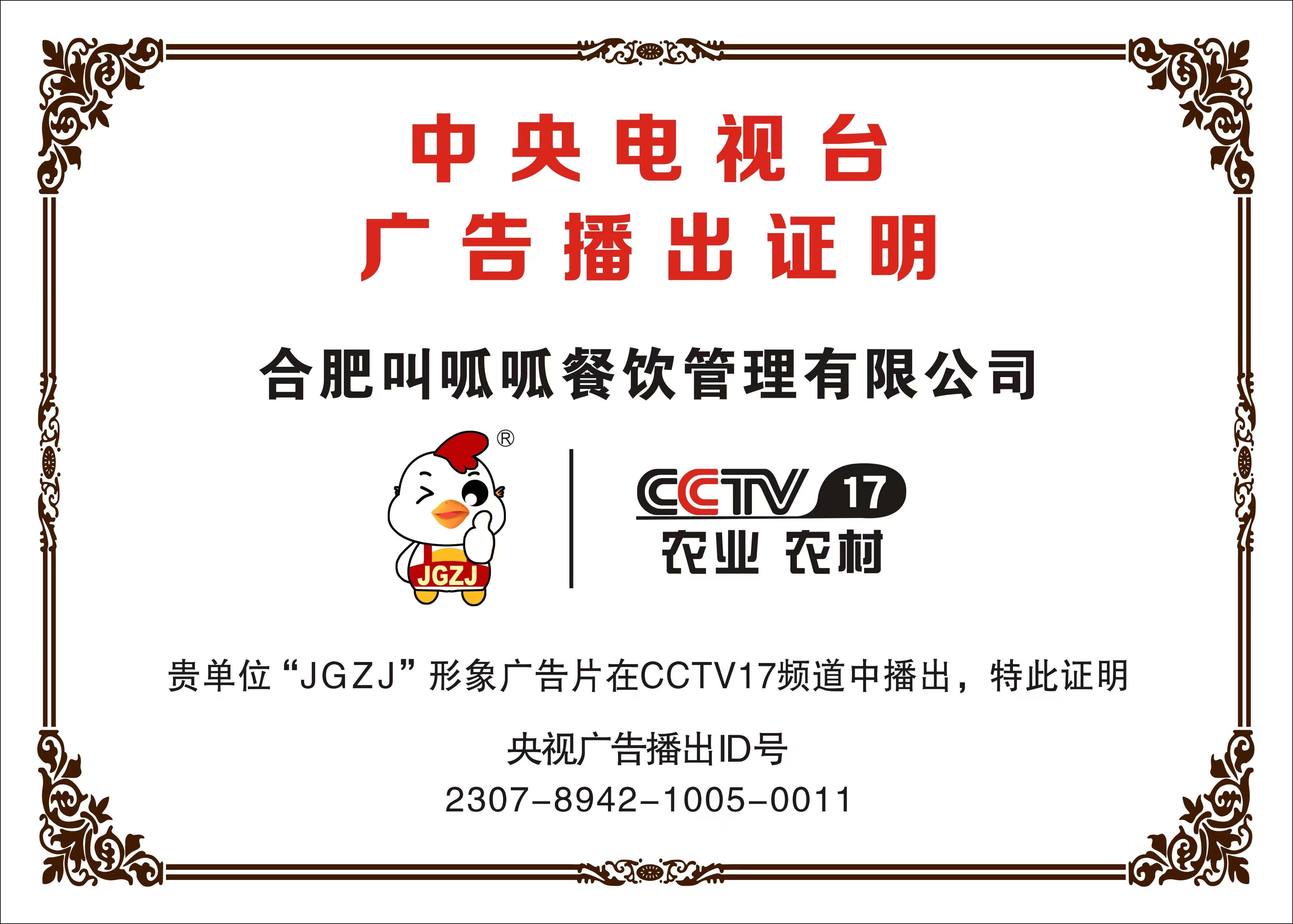 CCTV播出证明